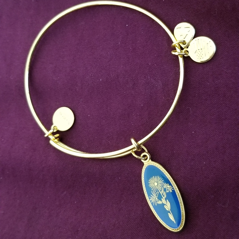 Alex and Ani Aster Bracelet